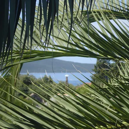 Vidakovic 公寓 乌格连