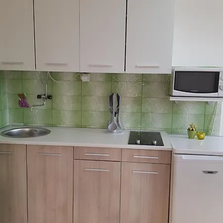 Vidakovic 公寓 乌格连