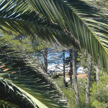 公寓 Vidakovic 乌格连