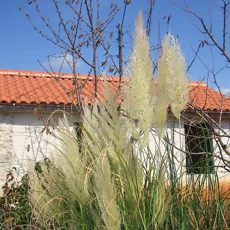 Apartmán Vidakovic