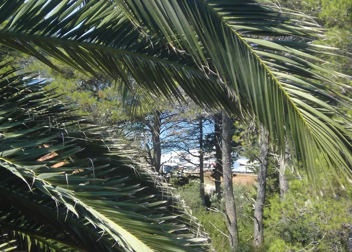 Apartman Vidakovic Ugljan