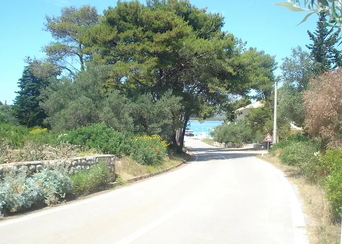 Apartman Vidakovic *