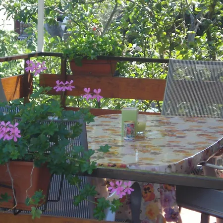 Vidakovic Apartment Ugljan
