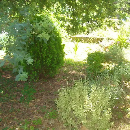 Apartment Vidakovic