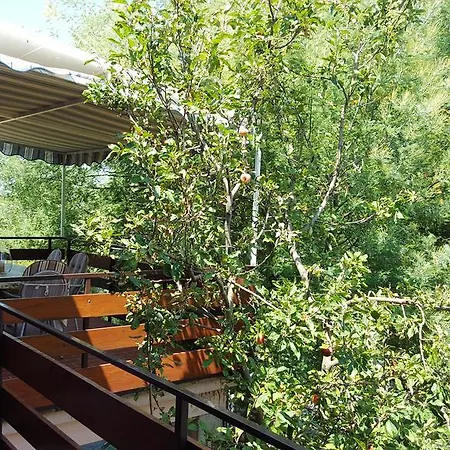 Apartment Vidakovic Ugljan