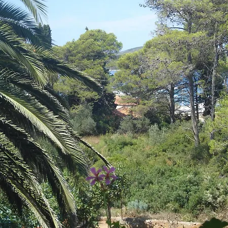 דירה Vidakovic אוגייאן