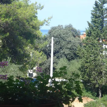 Vidakovic אוגייאן