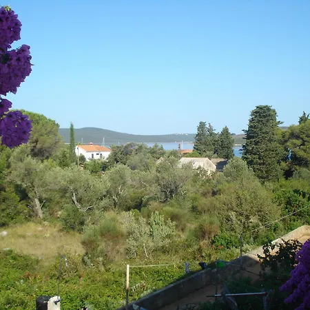 Vidakovic דירה אוגייאן