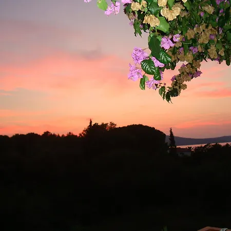 Vidakovic אוגייאן