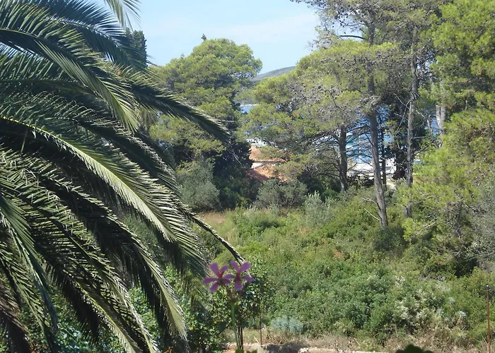 Apartamento Vidakovic Ugljan