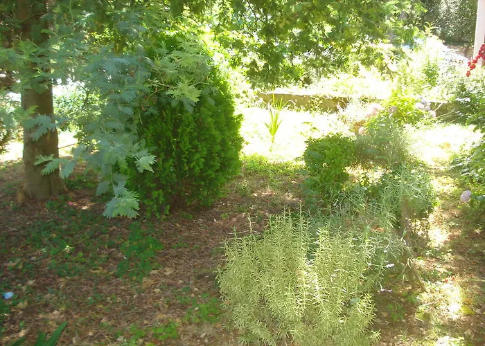 Apartamento Vidakovic