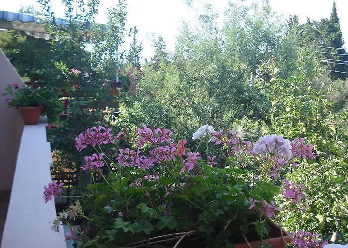 Vidakovic Apartamento